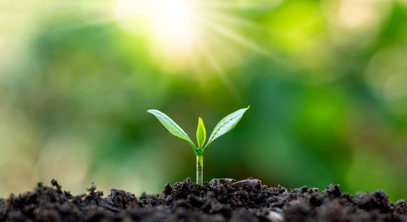 「自分を受け入れる」ことから始まる新しい人生